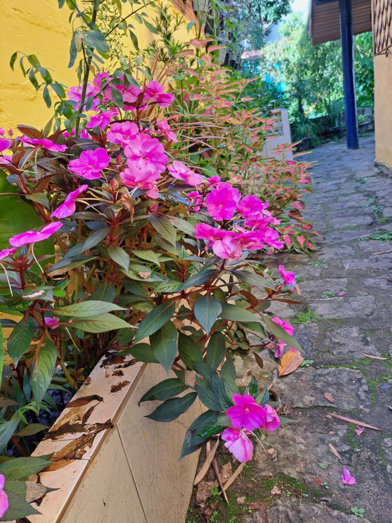 Casa Ilhabela Entre A Praia Grande & Juliao Værelse billede
